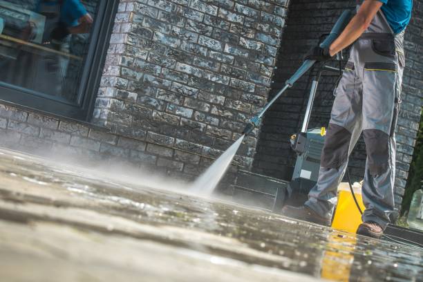 Best Fleet Vehicle Washing  in Ave Maria, FL